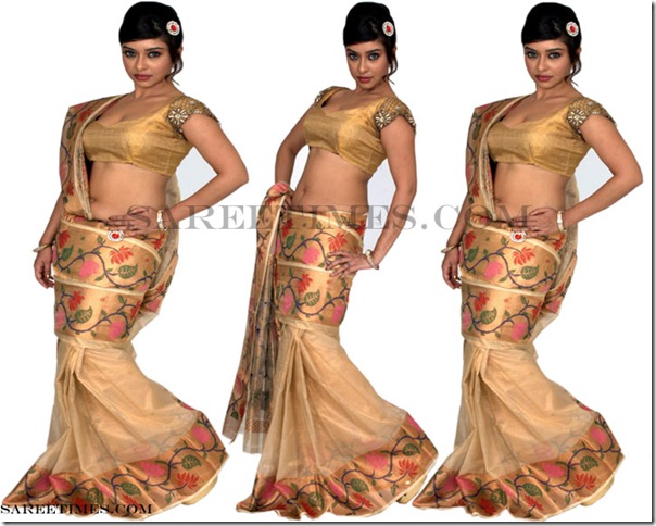 Payal_Gosh_Designer_Drape_Saree