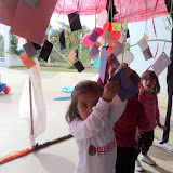 fotos diversas 199.jpg