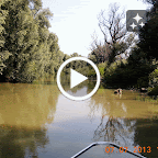 DSCN9389-MOTION.gif