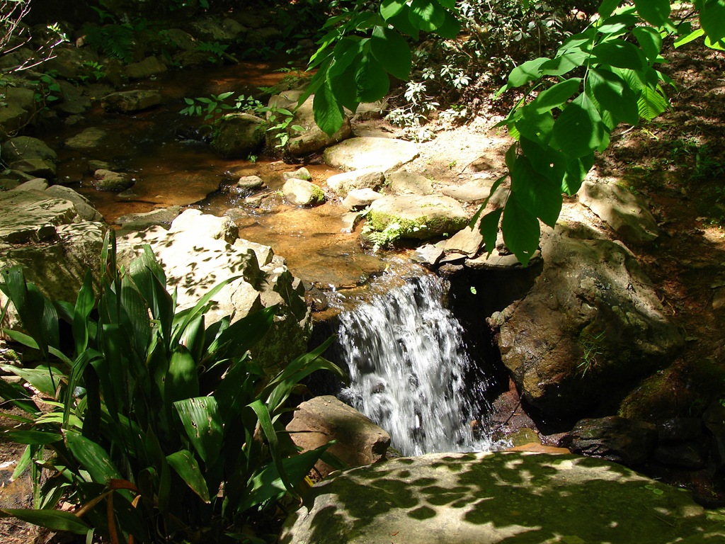 [DSC04446%255B3%255D.jpg]