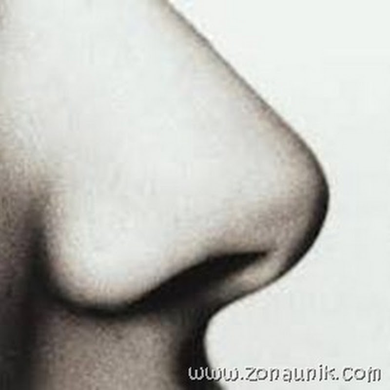 Cara Memancungkan Hidung Secara Alami