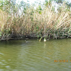 IMG_8039.JPG