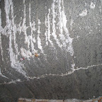 PB050006.JPG