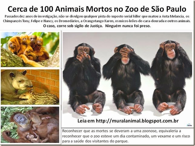 Cerca de 100 Animais Mortos no Zoo de