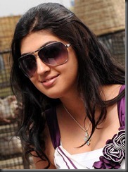 pranitha hot photos in half saree telugu actress hot photos telugu movie hero actress latest new hot photos stills images pics gallery