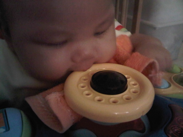 [IMG02011-20120514-1508%255B3%255D.jpg]