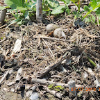 DSCN9505.JPG