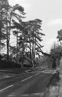 Reading Road