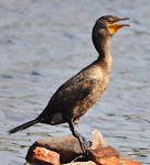 DSC_2028.JPG