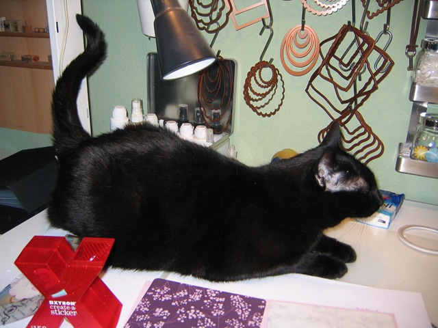 [IMG_0241%255B3%255D.jpg]