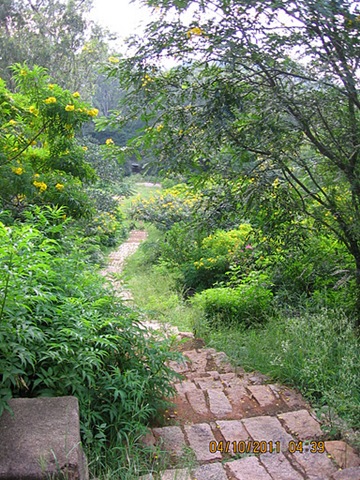 [VidyaSury%2520path%255B3%255D.jpg]