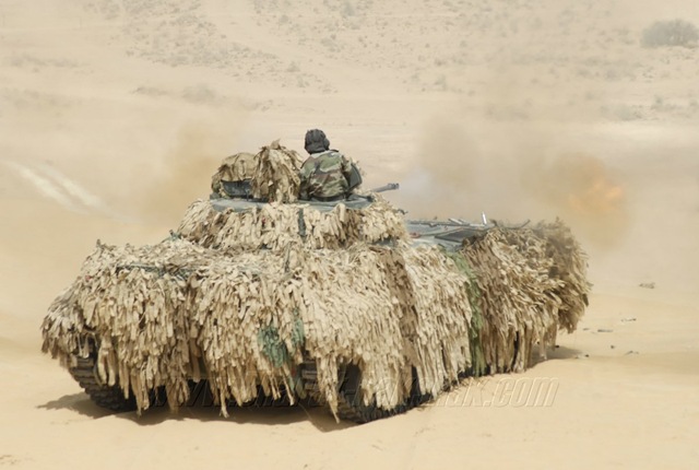 [bmp2-2%255B2%255D.jpg]