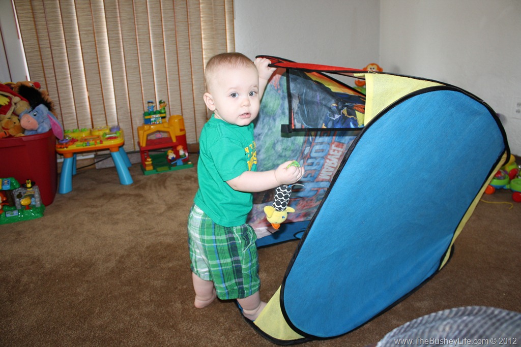 [IMG_1129%255B7%255D.jpg]