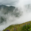 thyon-2000-0004.jpg