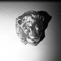 EvianChrist_KingsAndThem EvianChrist_KingsAndThem