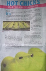Peeps article from paper