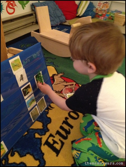 5.13.13 tot school bugs22