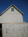 IMG_5594.JPG