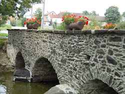 V obci se nachází kamenný most přes Třešťský potok, který patří k nejstarším mostům na Moravě. Historicky jsou Jezdovice známé svoji těžbou stříbra. Obci dominuje Jezdovický rybník o rozloze 27 ha.