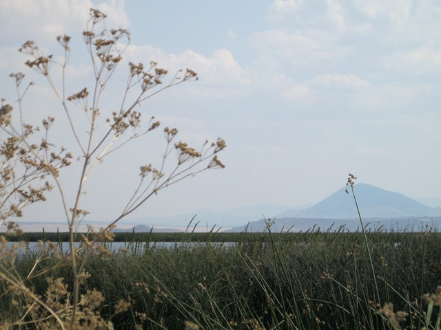 [110909145327H2.jpg]