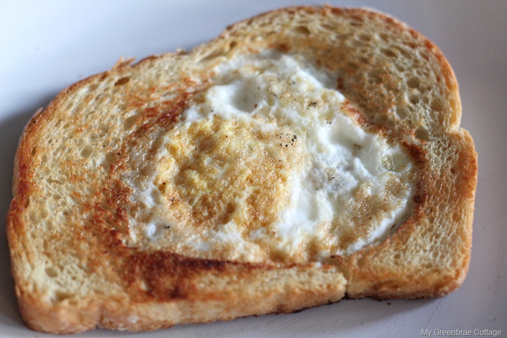 [IMG_2902%255B4%255D.jpg]