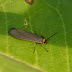 P1080962