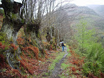 2008-04-21 A SEARA-COUREL 009.JPG