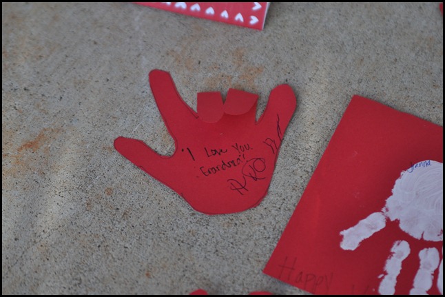 DSC_0883 DSC_0883