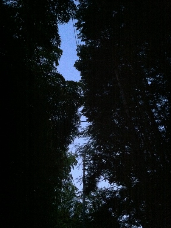 [IMG_1877%255B2%255D.jpg]