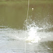 DSC01131.JPG