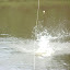 DSC01131.JPG