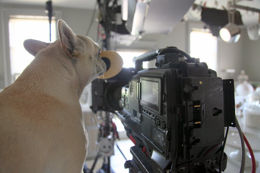 Quiet on the set!  We're rolling!