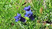 P1100875.JPG