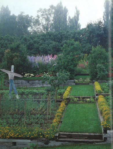 The small-flowered marigolds create such a glorious path.