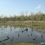 BikeTrail BikeTrail