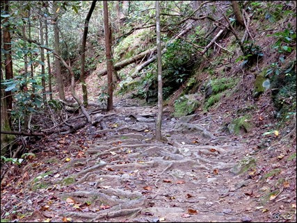 Raven Creek Trail