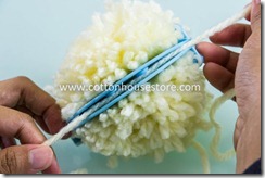 DSC_1412_pompom DSC_1412_pompom