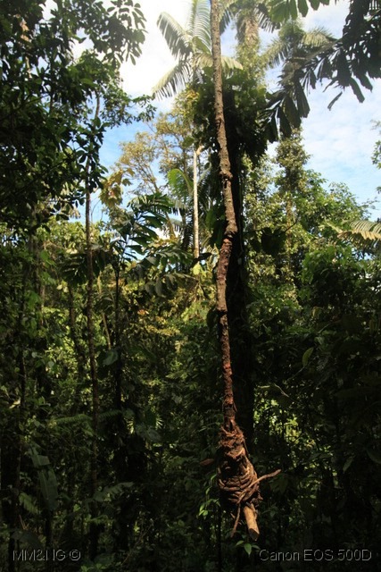 [IMG_2393%255B9%255D.jpg]