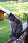 IMGP0033.JPG