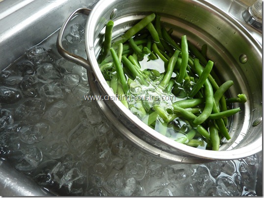 blanch and freeze green beans (44)