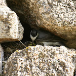 photoIMG_1086.jpg