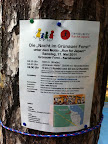 Nacht_im_Gruenauer_Forst_20110521_43.jpg