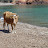 DSC05518.JPG