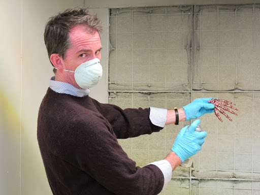 This is how it's done, sprayed at a clear 8 inches from the object.