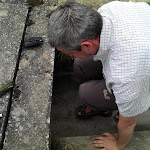 2011-06-04_12-54-26_804.jpg