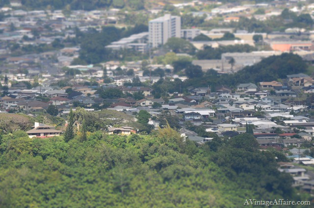 [DSC_0440%255B11%255D.jpg]