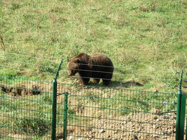 Asturias2011 (32)