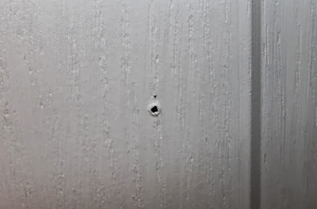 [Rudi%2520083-001%255B3%255D.jpg]