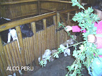 PICT0864.JPG