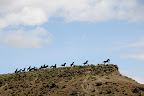 DSC_0879.JPG